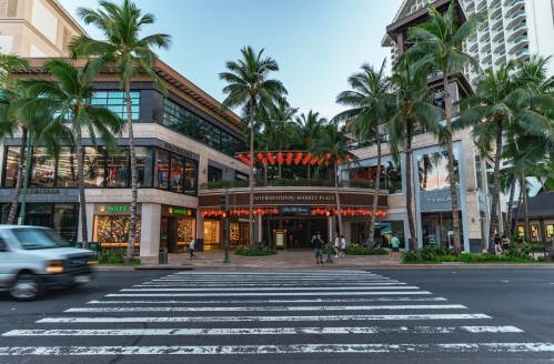 A bustling street view of the International Market Place, framed by palm trees and shops, with a crosswalk in the foreground.