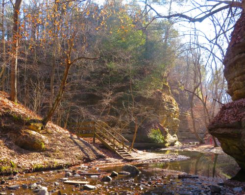 A serene forest scene with a creek, rocky cliffs, and a wooden bridge surrounded by trees and autumn leaves.