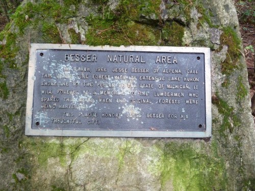 Plaque honoring Jesse Besser in Besser Natural Area, commemorating the preservation of Michigan's forests.