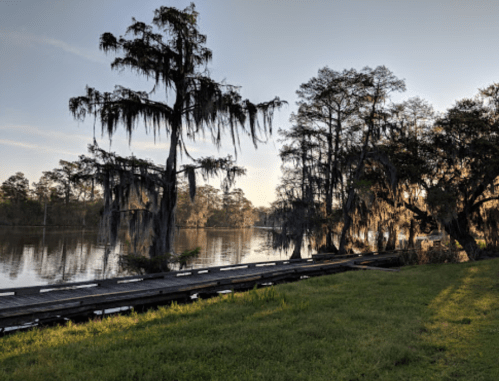 A serene river scene with cypress trees draped in Spanish moss, reflecting the soft light of dawn.
