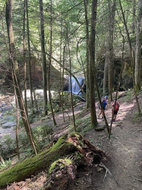 Two hikers walk along a forested trail near a waterfall, surrounded by lush greenery and tall trees.