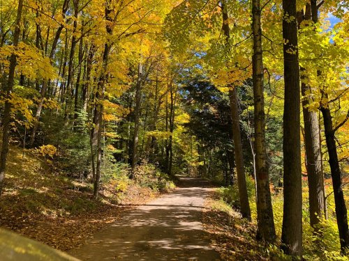 A scenic dirt path surrounded by vibrant autumn trees with yellow and orange leaves.