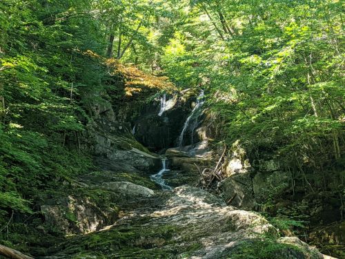 A serene forest scene featuring a small waterfall cascading over rocks, surrounded by lush green trees.