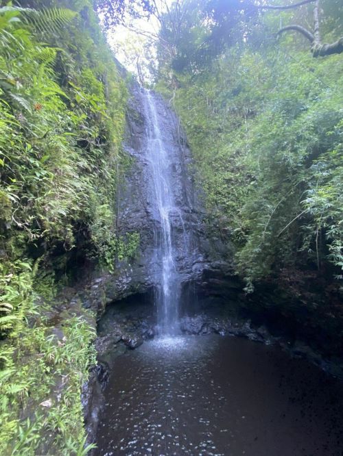 A serene waterfall cascading into a small pool, surrounded by lush green foliage and rocky terrain.