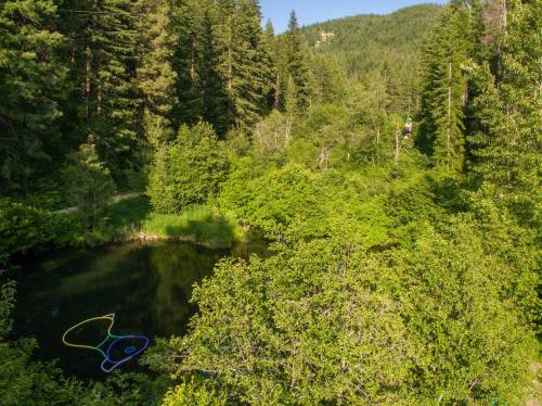 A lush green forest surrounds a calm pond, with colorful ropes lying on the water's surface.