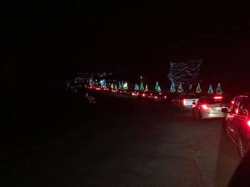 Cars lined up on a dark road, illuminated by colorful holiday lights and decorated trees in the background.