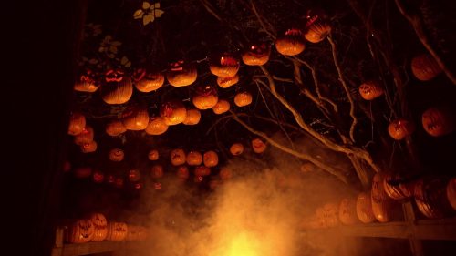 A spooky scene with carved pumpkins hanging from trees, surrounded by fog and dim lighting, creating a Halloween atmosphere.