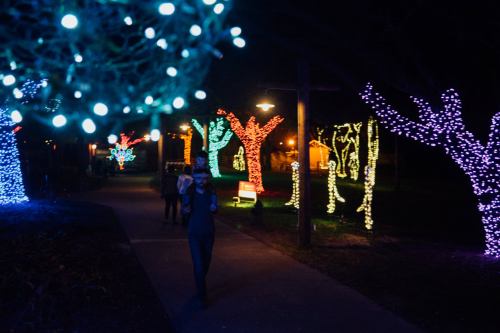 A pathway lined with colorful holiday lights on trees, with a person walking in the foreground at night.