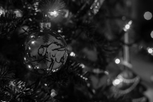 A black and white close-up of a Christmas ornament hanging on a tree, surrounded by soft, blurred lights.