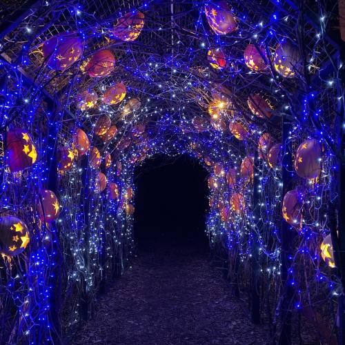 A dark tunnel adorned with blue lights and orange pumpkins, creating a festive, enchanting atmosphere.