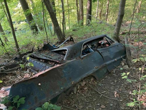 An abandoned, rusted car partially hidden in a forest, surrounded by trees and underbrush.