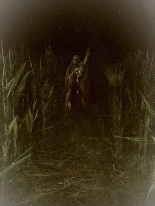 A shadowy figure in a cloak stands in a dark cornfield, holding a weapon, surrounded by tall corn stalks.