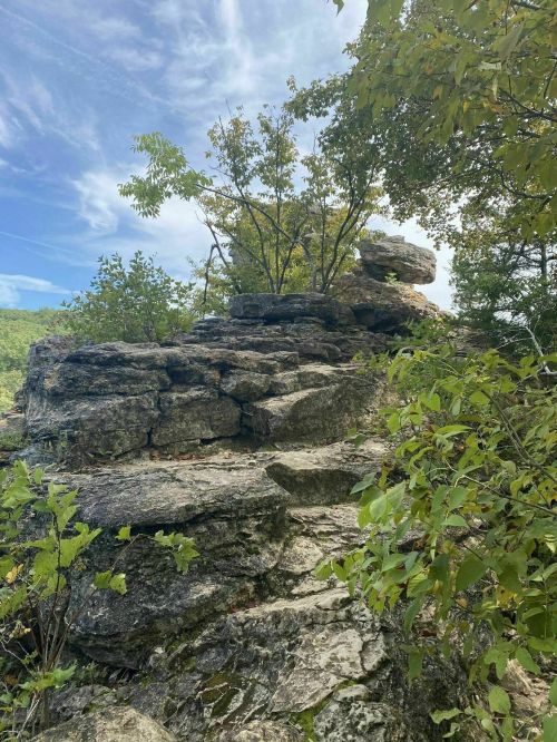 A rocky outcrop with greenery and a blue sky in the background, showcasing natural textures and formations.