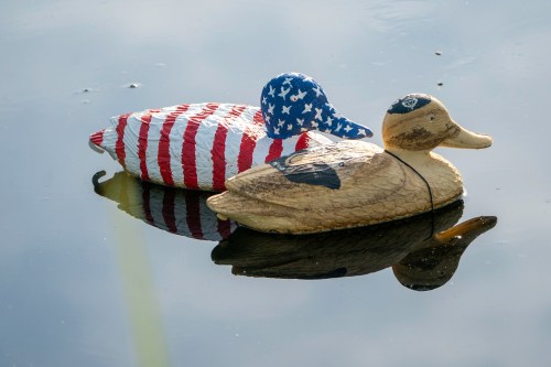 Two decorative ducks float on calm water, one painted with an American flag and the other in natural colors.