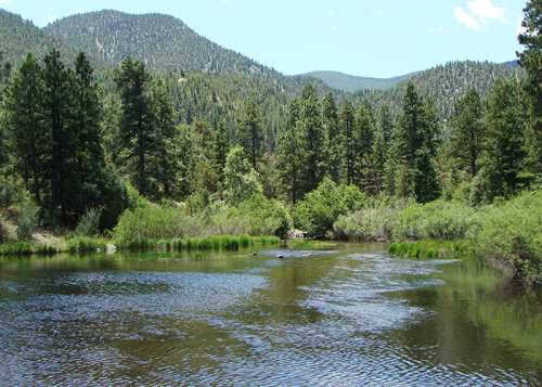 A serene river flows through a lush forest, surrounded by mountains and greenery under a clear blue sky.