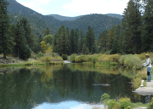 A person fishing by a calm river surrounded by lush green trees and mountains under a partly cloudy sky.
