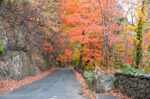 A winding road surrounded by vibrant autumn foliage in shades of red, orange, and yellow.