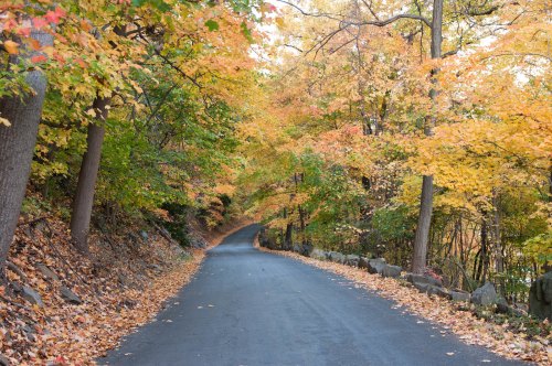 A winding road surrounded by trees with vibrant autumn foliage in shades of orange and yellow.