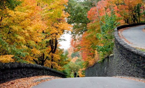 A winding road surrounded by vibrant autumn trees in shades of orange, yellow, and red.