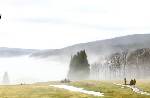 A misty landscape with rolling hills, trees, and a winding path, creating a serene, foggy atmosphere.