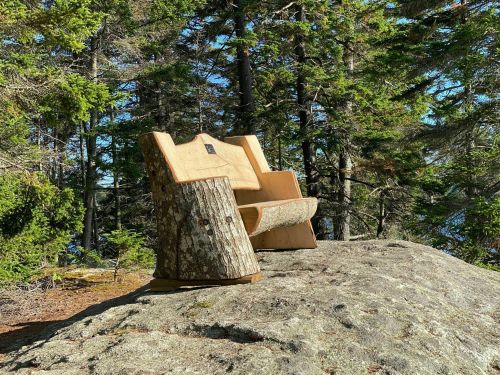 A rustic wooden chair made from logs sits on a large rock, surrounded by tall trees in a forested area.