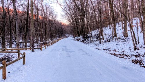 A snow-covered path winds through a forest, flanked by bare trees and a wooden fence under a soft winter light.