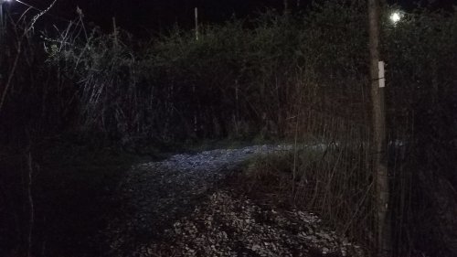 A dimly lit path through dense foliage at night, with gravel underfoot and faint light in the background.