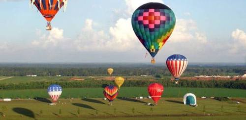 A colorful array of hot air balloons floating over a green landscape under a blue sky with fluffy clouds.