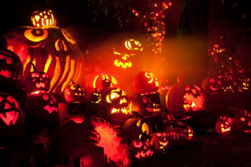 A spooky display of carved pumpkins glowing in the dark, featuring various eerie faces and designs.