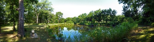 A serene panorama of a pond surrounded by lush greenery and trees under a clear blue sky.