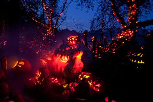 A spooky Halloween scene with glowing jack-o'-lanterns and eerie decorations in a dark, misty setting.