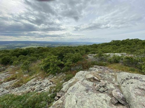 A rocky landscape with green shrubs and trees, overlooking a vast valley under a cloudy sky.