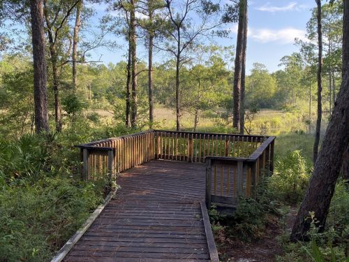 A wooden observation deck surrounded by lush greenery and trees, overlooking a serene natural landscape.