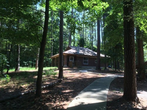 A wooden cabin surrounded by tall trees, with a winding path leading to the entrance in a serene forest setting.