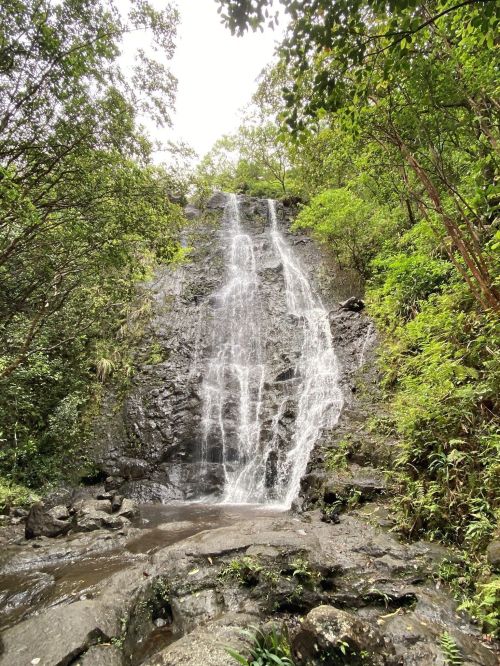A serene waterfall cascading down rocky cliffs, surrounded by lush green foliage and trees.