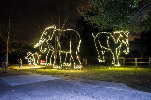 Three illuminated elephant figures made of lights in a park, with a child standing nearby and trees in the background.