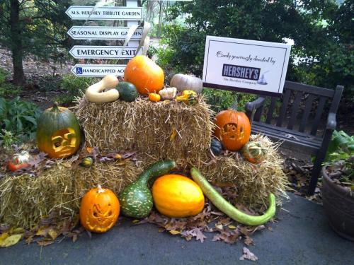 A display of pumpkins and gourds on hay bales, with a sign for Hershey's and a bench in a garden setting.