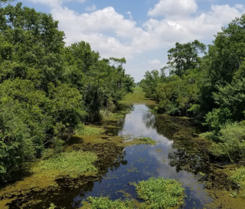 Lush green trees surround a calm, reflective waterway under a bright blue sky with fluffy clouds.