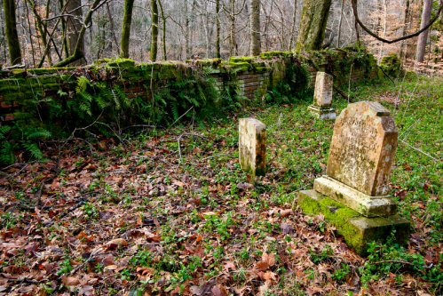 Overgrown graveyard with moss-covered tombstones surrounded by trees and fallen leaves.
