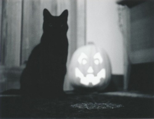 A black cat sits in front of a carved pumpkin with a spooky face, set in a dimly lit room.