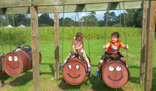 Two children sit on barrel swings with smiling faces, surrounded by green grass and a cornfield in the background.