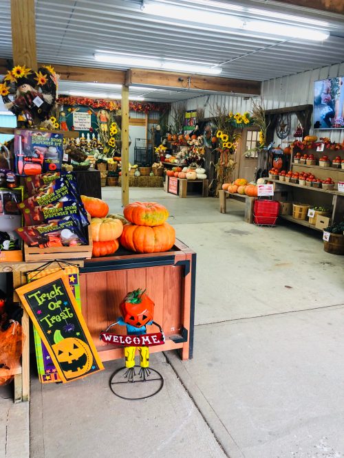 A cozy farm store decorated for fall, featuring pumpkins, sunflowers, and a "Welcome" sign with a festive scarecrow.