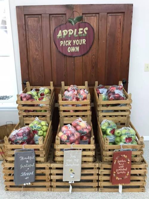 A display of wooden crates filled with apples, with signs saying "Pick Your Own" and various messages of gratitude.