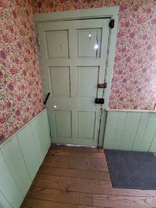 A green door with a latch, set against floral wallpaper and wooden flooring, with a mat in front.