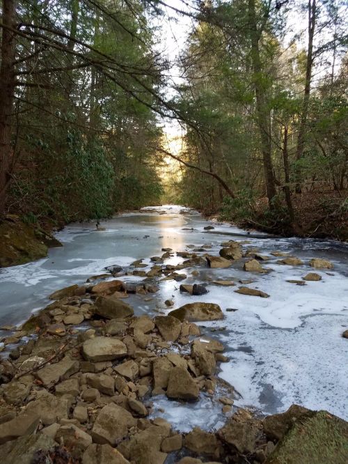A serene forest scene with a frozen stream, rocky banks, and sunlight filtering through tall trees.