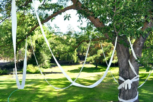White ribbons drape from a tree, creating a whimsical decoration in a lush green garden.