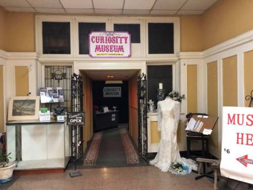 Entrance to the Curiosity Museum featuring a dress display, signage, and a welcoming atmosphere.