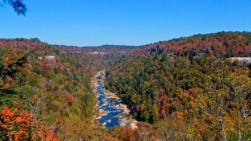 A scenic view of a river winding through a colorful forest in autumn, with vibrant foliage and clear blue skies.