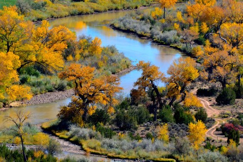 A winding river surrounded by vibrant autumn trees and lush greenery under a clear blue sky.