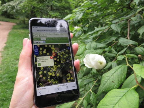 A hand holds a smartphone displaying a plant database map, with green foliage and a white flower in the background.